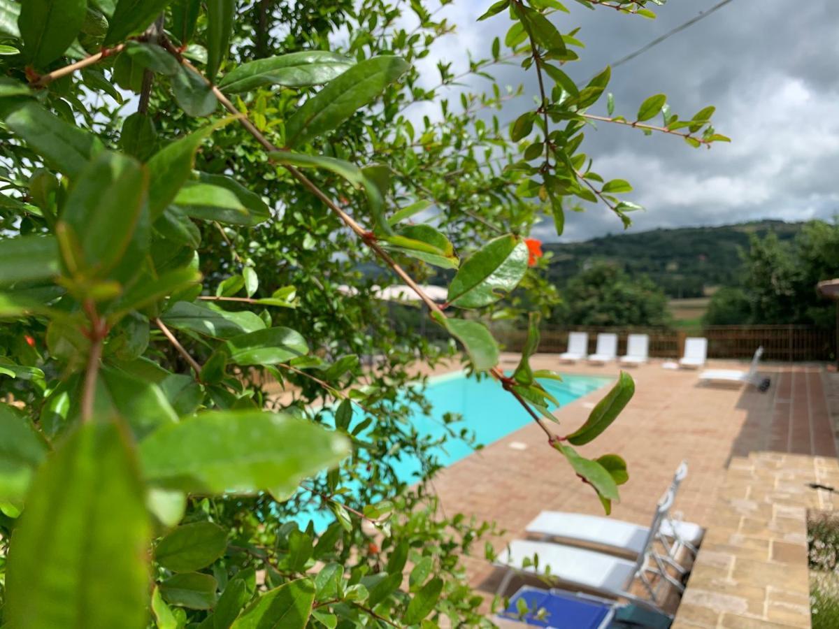 Agriturismo La Palazzetta Di Assisi Kültér fotó