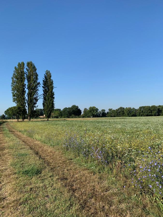 Agriturismo La Palazzetta Di Assisi Kültér fotó