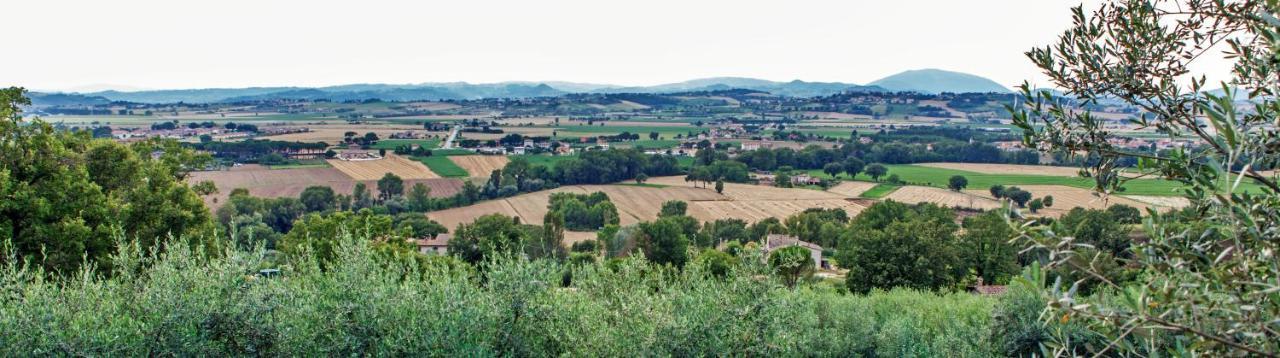Agriturismo La Palazzetta Di Assisi Kültér fotó
