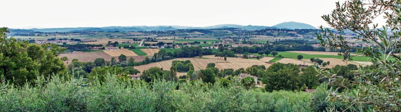 Agriturismo La Palazzetta Di Assisi Villa Kültér fotó